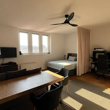 Modernes In Apartment Graz